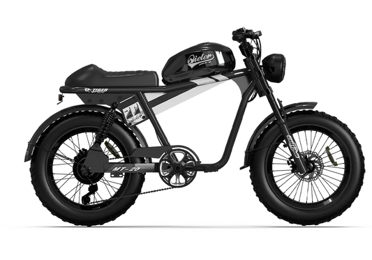 Qiolor Tiger RE 35AH