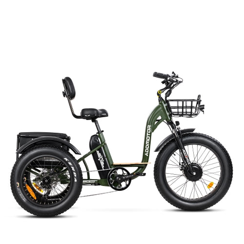 GRANDTAN M-340 Electric Trike