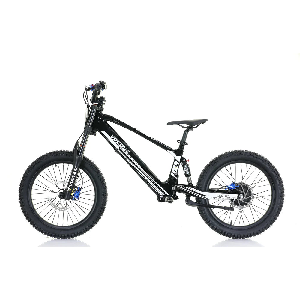 Voltaic Flying Fox 20" 48V