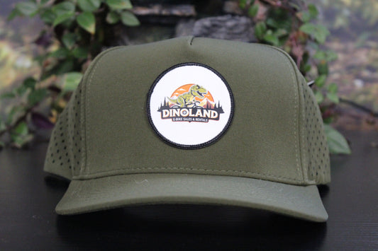 SIX Hat Supply Dinoland E-Bikes