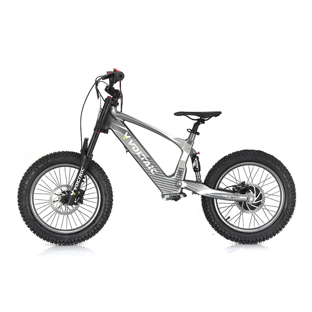 Voltaic Flying Fox 18" 36V