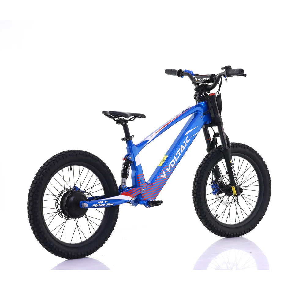 Voltaic Flying Fox 20" 48V