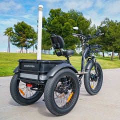 GRANDTAN M-340 Electric Trike