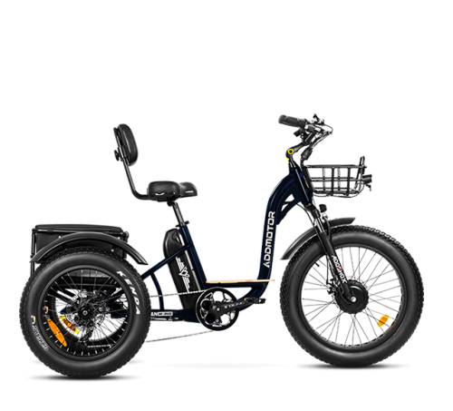 GRANDTAN M-340 Electric Trike